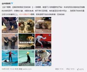 盈江新闻爆料事件视频完整版,视频完整版揭露惊人真相  第3张